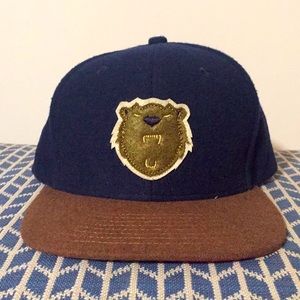 Roosevelt snap back hat